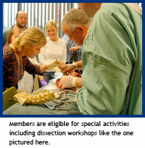New Hampshire Musculoskeletal Institute