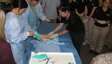 New Hampshire Musculoskeletal Institute